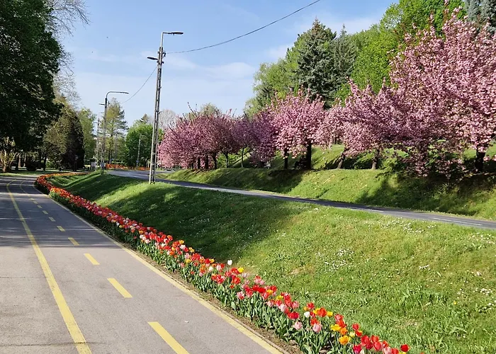 Apartamento Sunset *